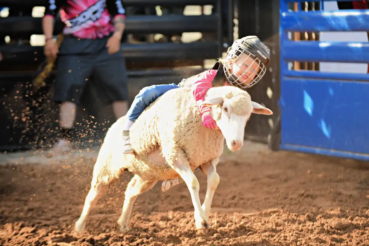 Junior Rodeo