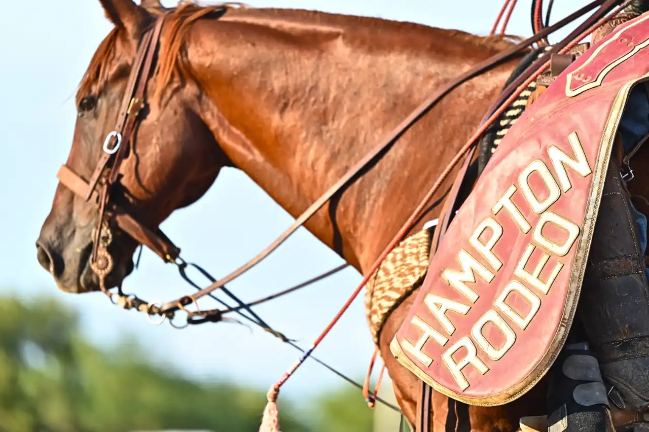 Hampton Pro Rodeo